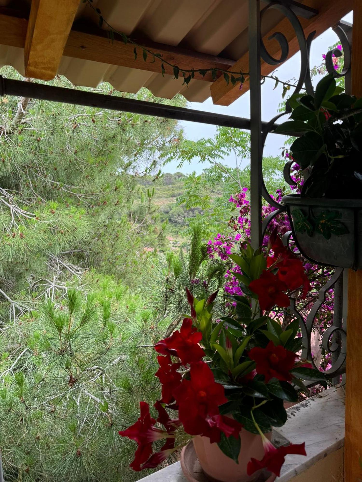 Apartmán Villino Norsi Portoferraio Exteriér fotografie