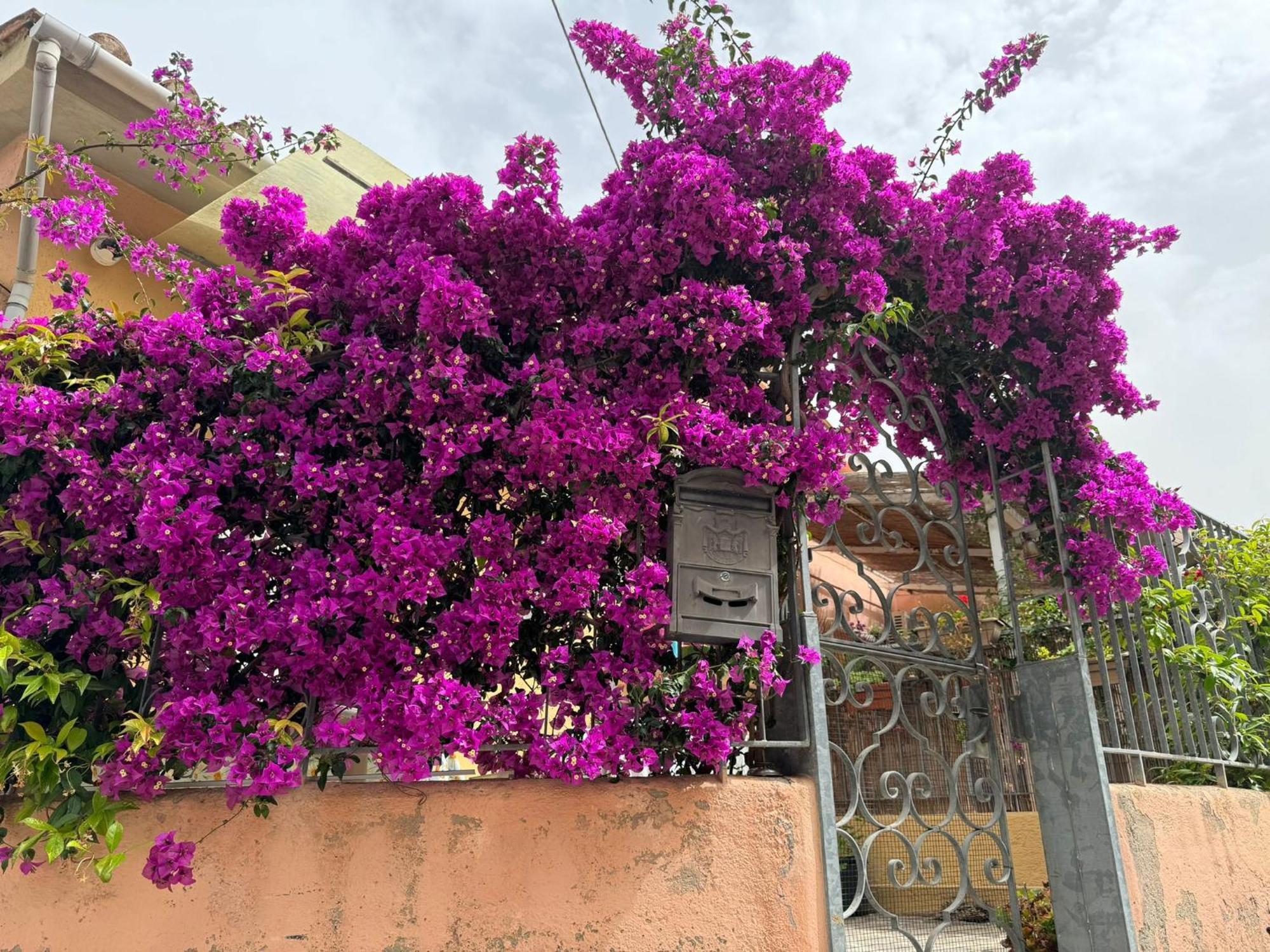 Apartmán Villino Norsi Portoferraio Exteriér fotografie