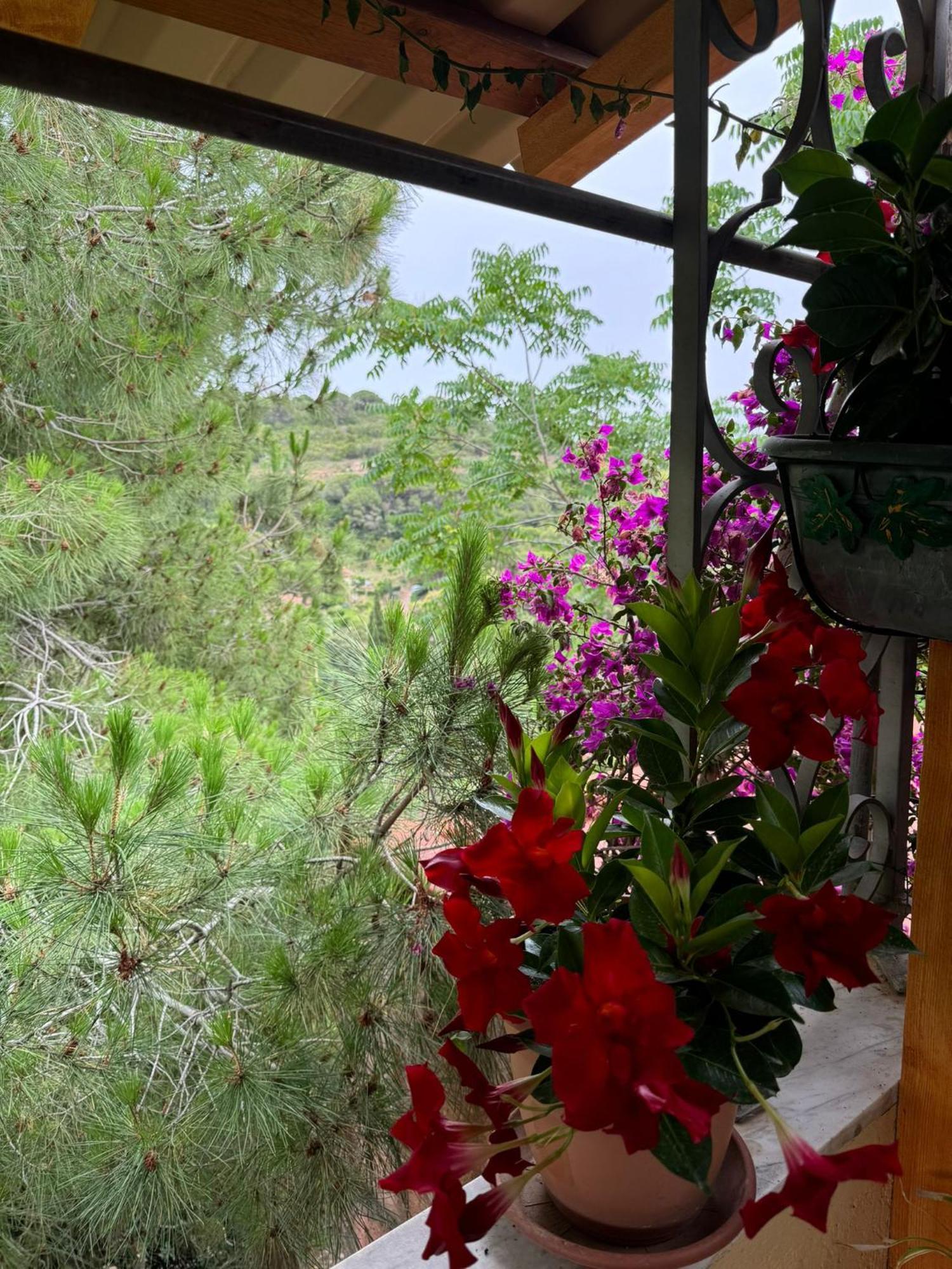 Apartmán Villino Norsi Portoferraio Exteriér fotografie