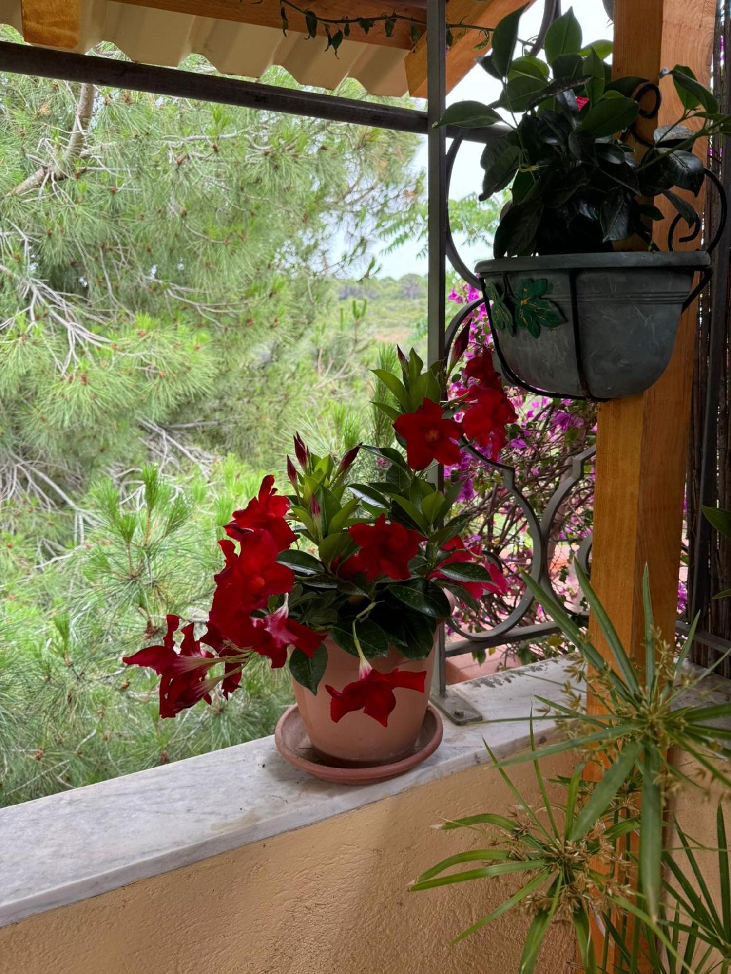 Apartmán Villino Norsi Portoferraio Exteriér fotografie