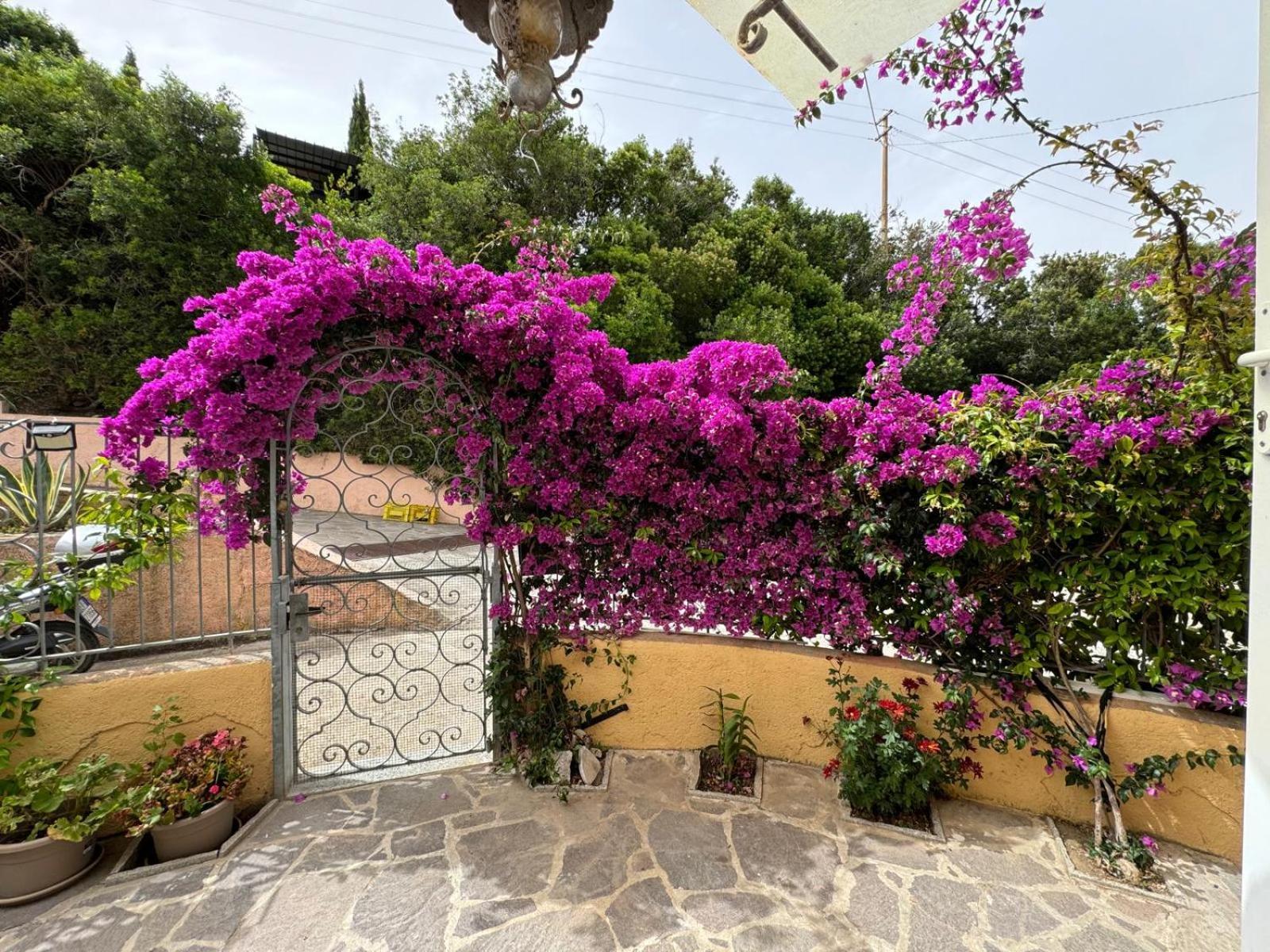 Apartmán Villino Norsi Portoferraio Exteriér fotografie
